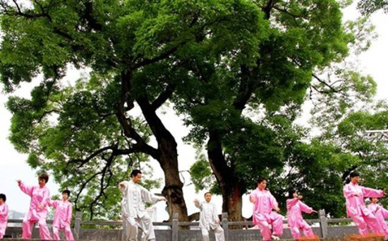 印江县总人口_印江县委书记被查照片