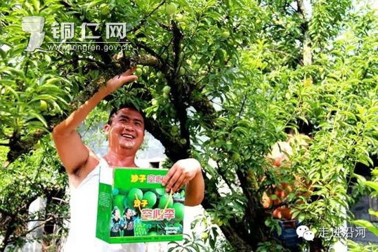 解码沿河:山城魅力哪里来? - 本市要闻 - 铜仁网