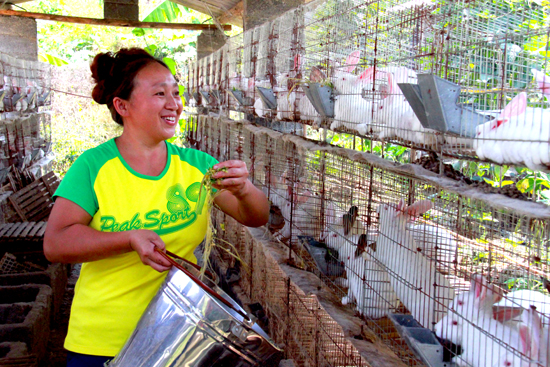 思南五星村规模养殖獭兔助农增收 - 思南县 - 铜